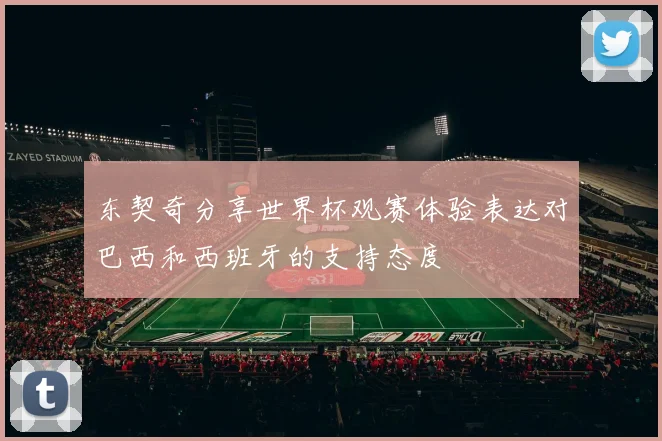 东契奇分享世界杯观赛体验表达对巴西和西班牙的支持态度